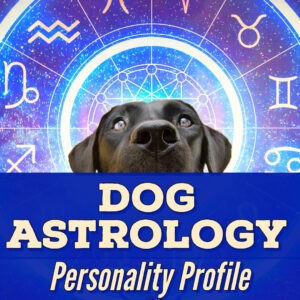 Dog Astrology